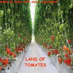 BLURSED LAND OF TOMATOES