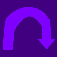Purple Circuit